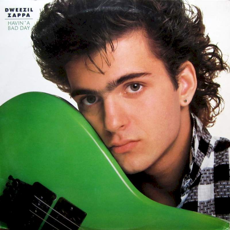 Dweezil Zappa - Havin' A Bad Day - LP / Vinyl