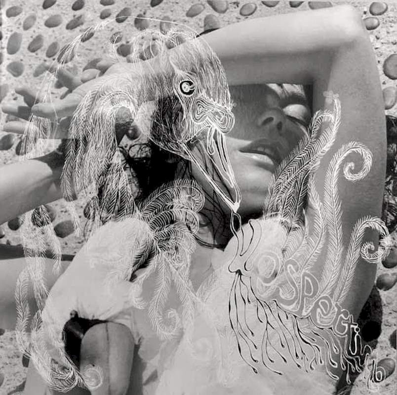 Björk - Vespertine - LP / Vinyl