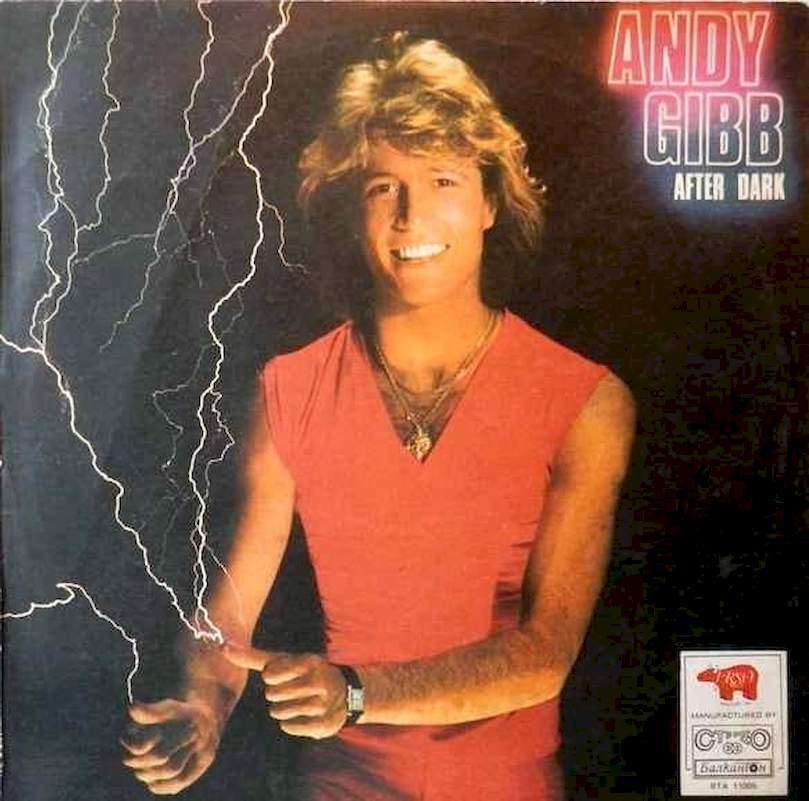 Andy Gibb - After Dark - LP / Vinyl