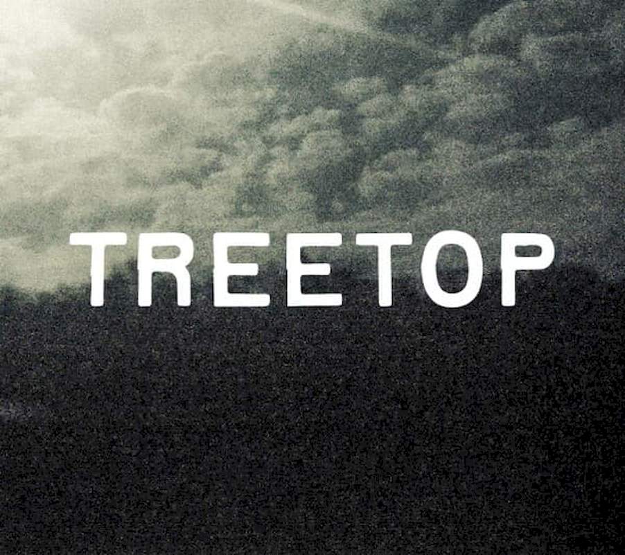 Treetop, Vojtěch Drnek, Richard Šanda, Michal Šelep - Treetop - CD