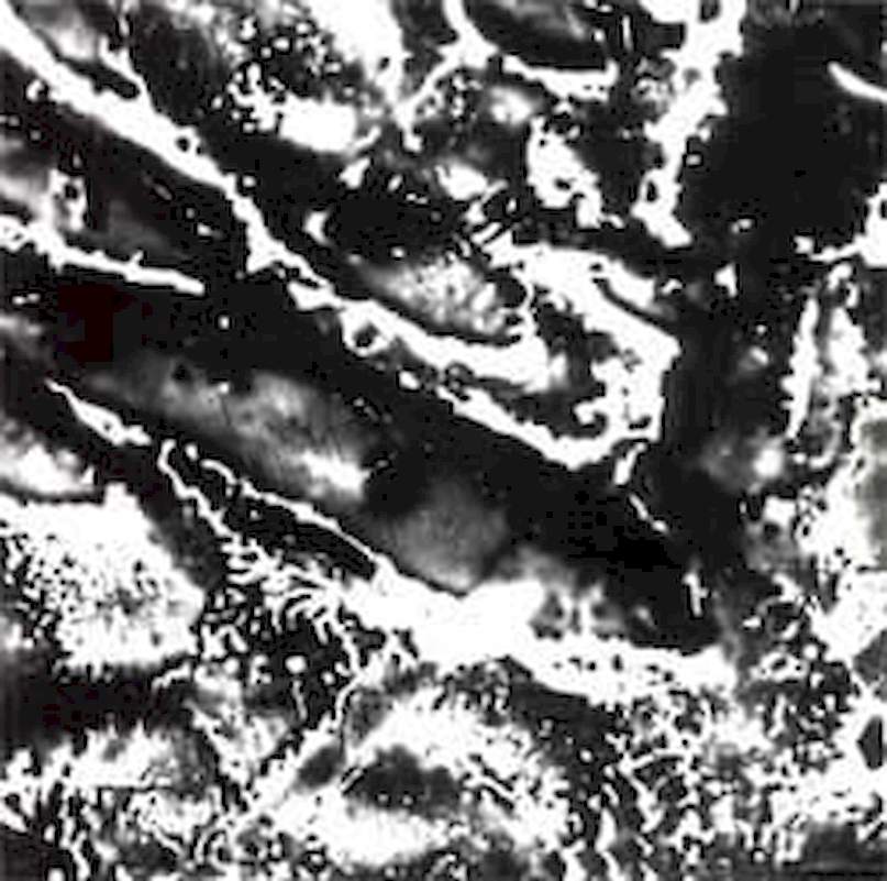 Ylo - Africký Slon - Domestifikace Jižních Věcí - CD