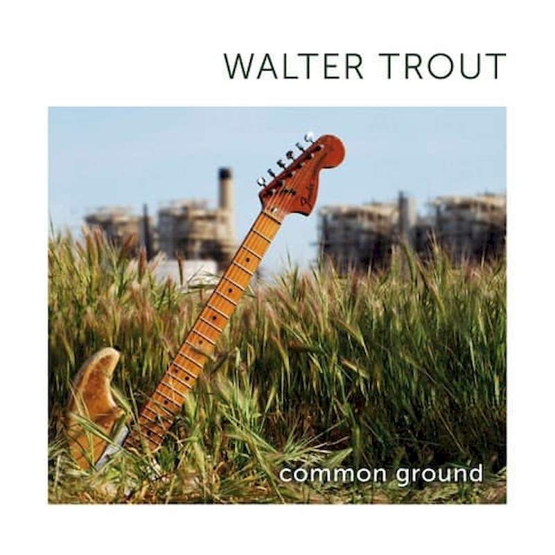 Walter Trout - Common Ground - CD