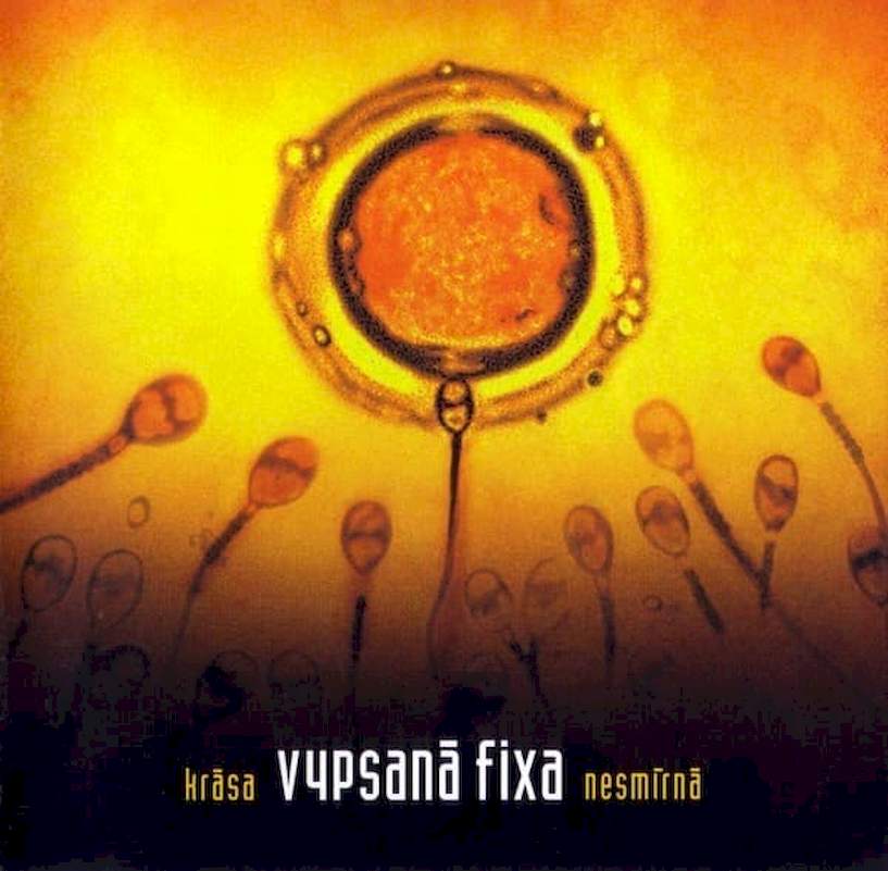 Vypsaná Fixa - Krása Nesmírná - CD