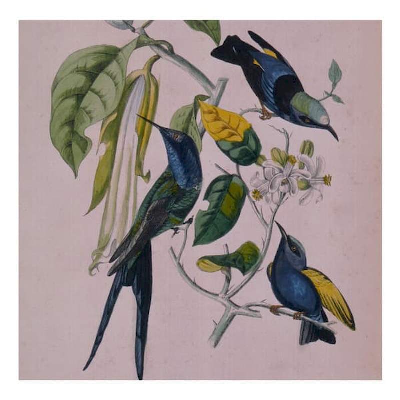 Susumu Yokota - Sakura - CD