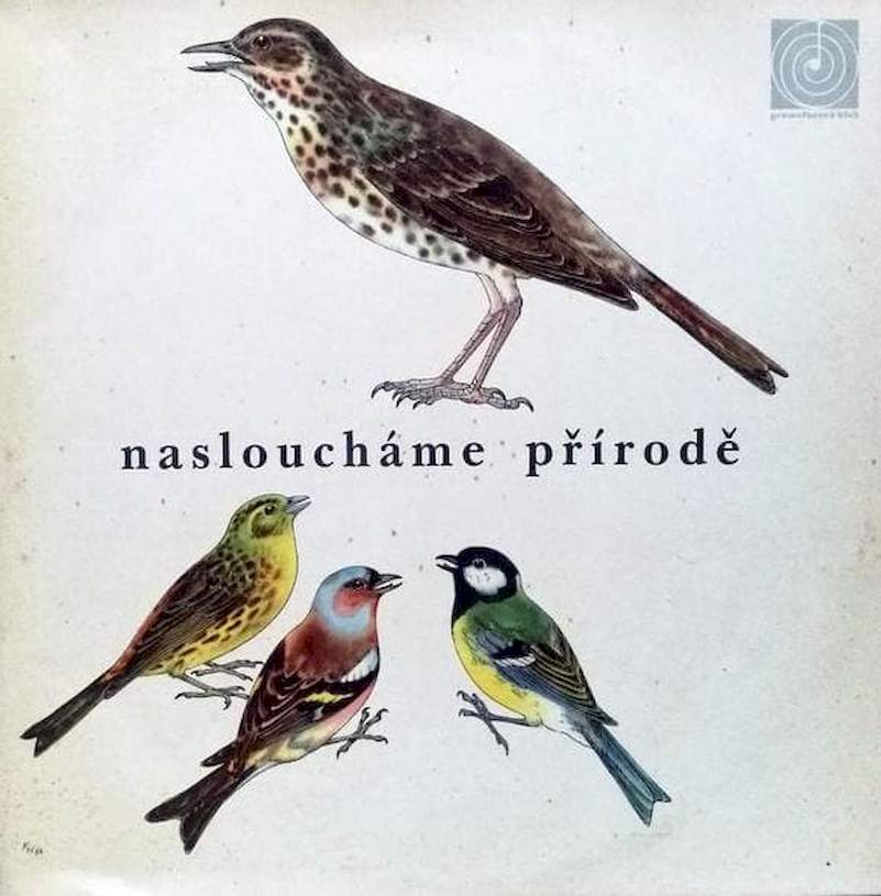 Josef Cincibus - Nasloucháme Přírodě - LP / Vinyl