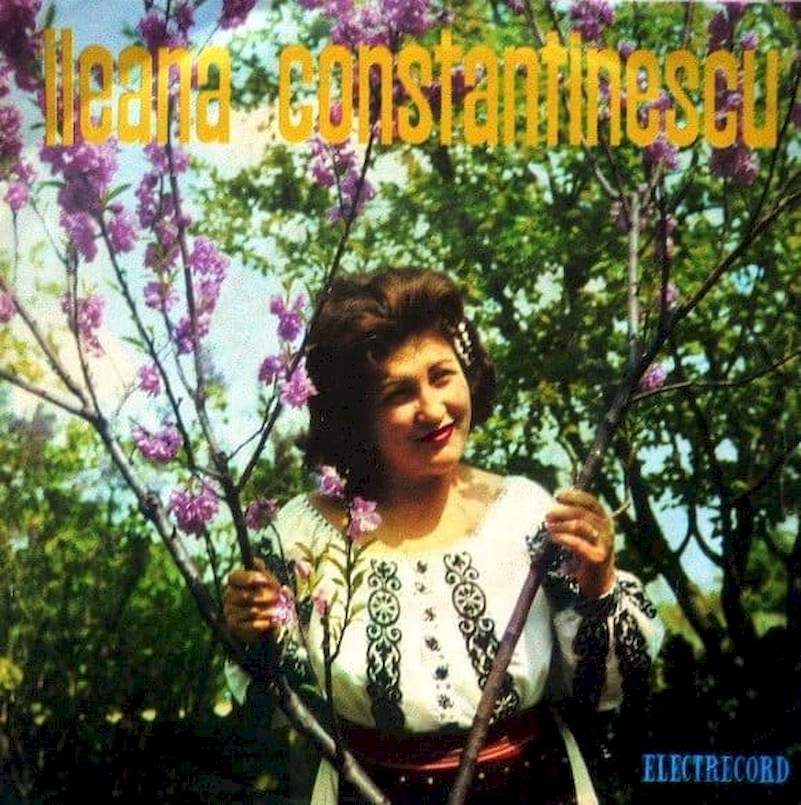 Ileana Constantinescu - Am Avut Dragut In Sat - SP / Vinyl
