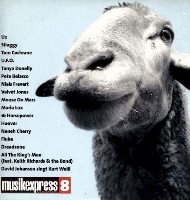 Various - Musikexpress 8 - CD