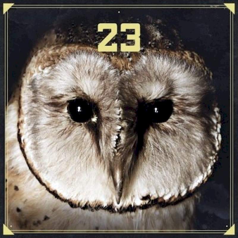 23 - 23 - CD