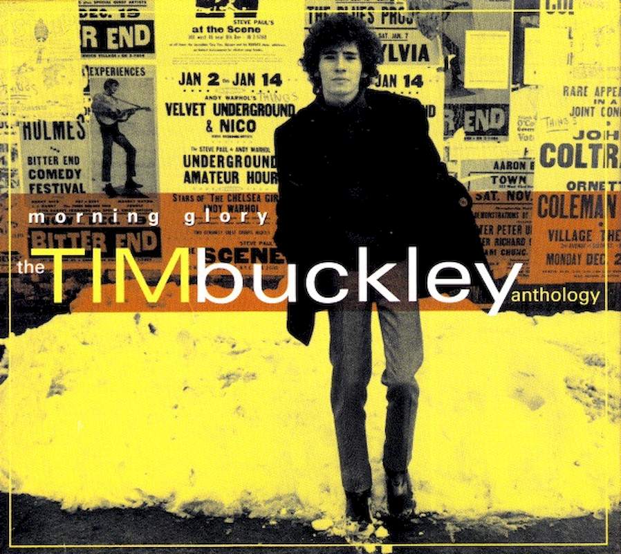 Tim Buckley - Morning Glory (The Tim Buckley Anthology) - CD