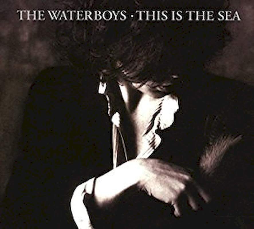 The Waterboys - This Is The Sea - CD