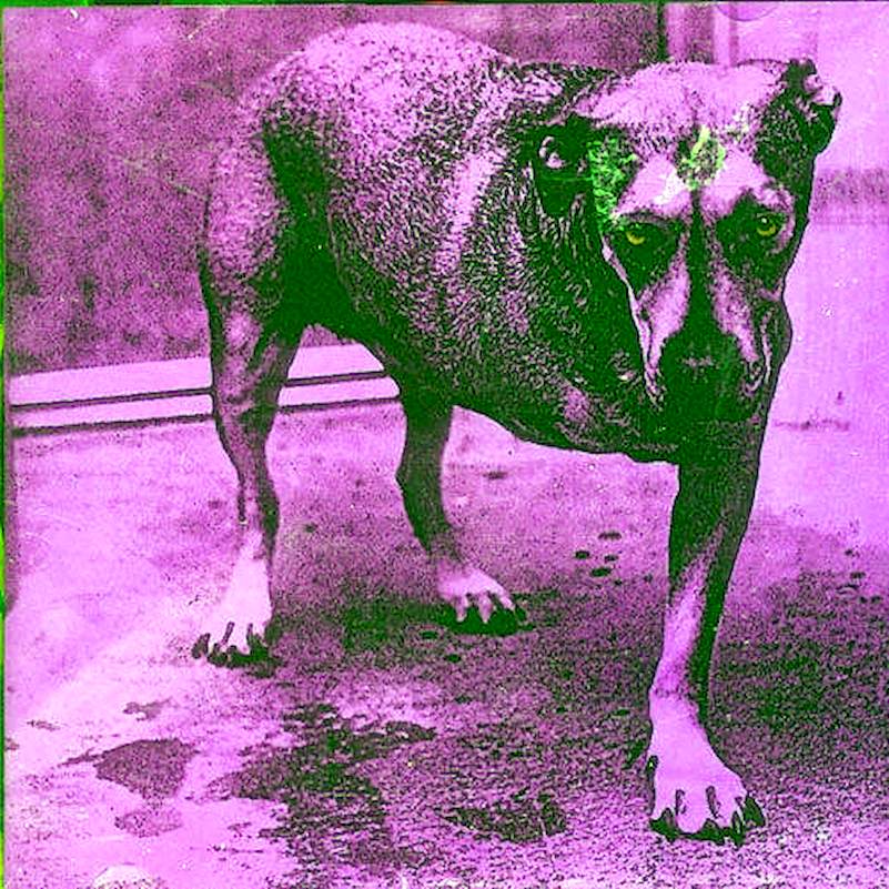 Alice In Chains - Alice In Chains - CD