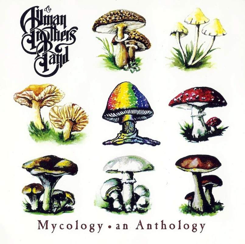 The Allman Brothers Band - Mycology / An Anthology - CD