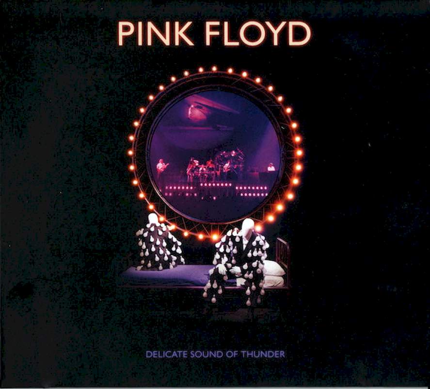 Pink Floyd - Delicate Sound Of Thunder - CD
