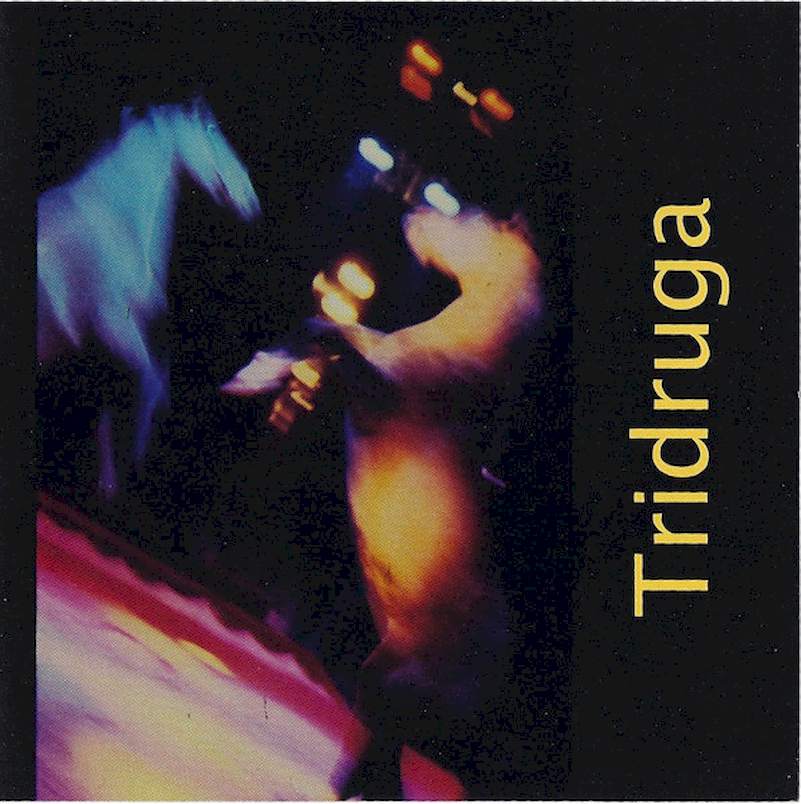 Yuri Lemeshev, Brad Shepik, Tony Scherr - Tridruga - CD