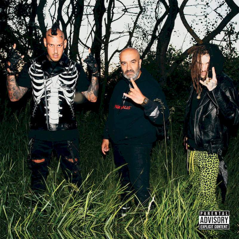 DMS - HUHU - CD
