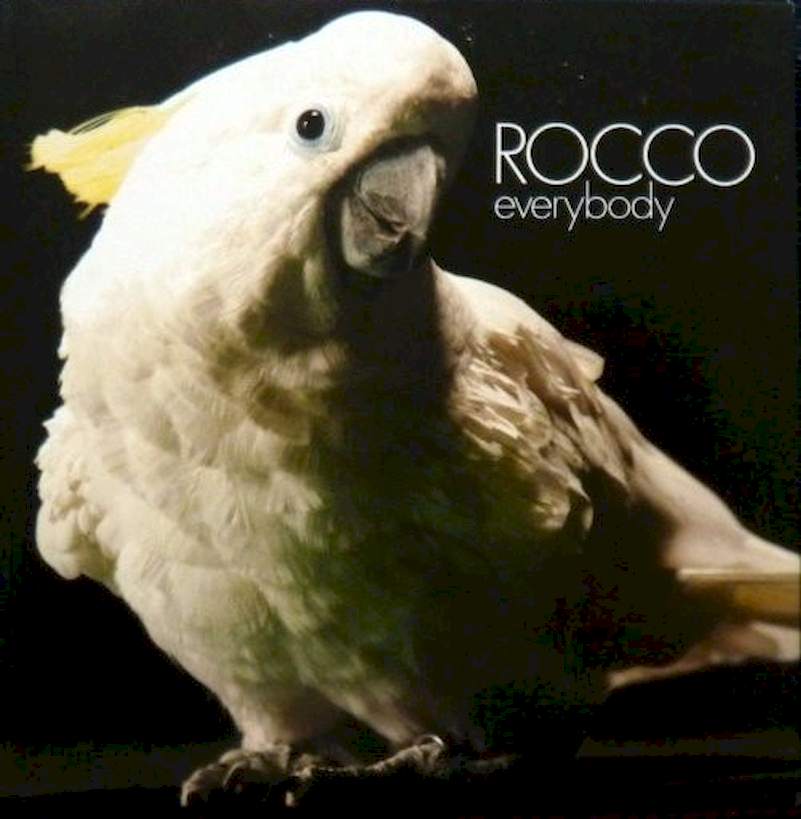 Rocco - Everybody - CD, Single