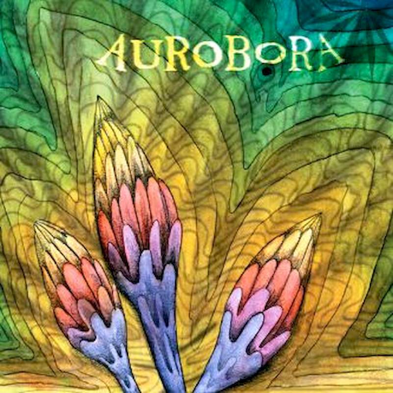 Lucie Svobodová - Aurobora - CD