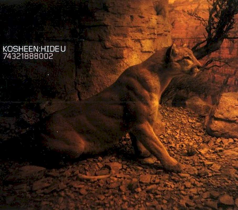 Kosheen - Hide U - CD, Single