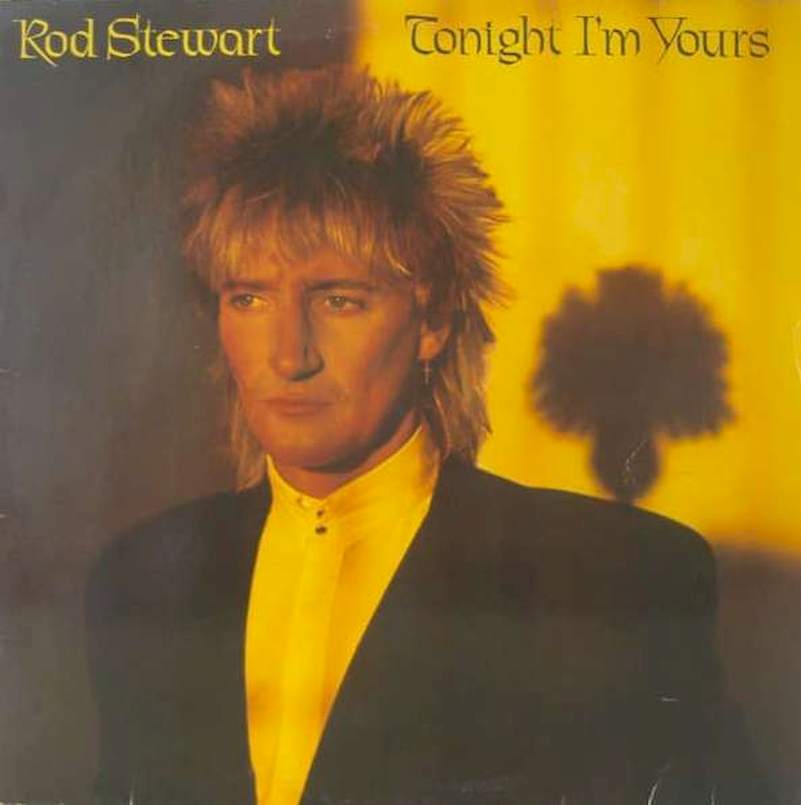 Rod Stewart - Tonight I'm Yours - LP / vinyl
