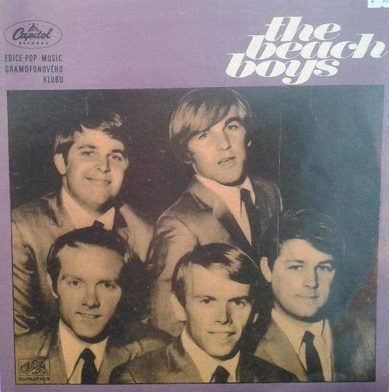 The Beach Boys - The Beach Boys - LP / vinyl