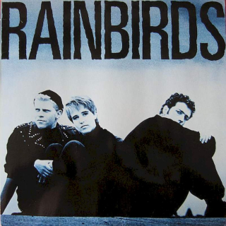 Rainbirds - Rainbirds - LP / Vinyl