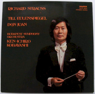 Richard Strauss - Budapest Symphony Orchestra, Ken-Ichiro Kobayashi - Till Eulenspiegel / Don Juan - LP / Vinyl