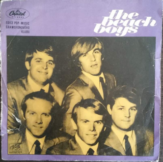 The Beach Boys - The Beach Boys - LP / Vinyl