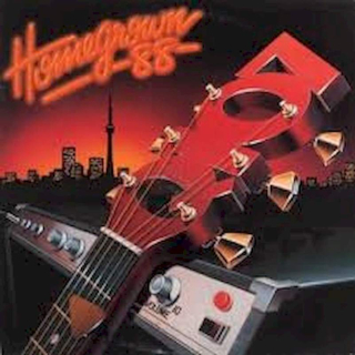 Various - Q107 Homegrown 88 Volume 10 - LP / Vinyl