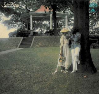 Isaac Hayes - Lifetime Thing - LP / Vinyl