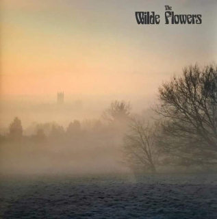 Wilde Flowers - The Wilde Flowers - LP / Vinyl