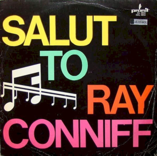Dick Smede Orchestra - Salut To Ray Conniff - LP / Vinyl