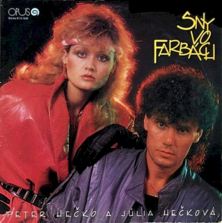 Peter Hečko A Júlia Hečková - Sny Vo Farbách - LP / Vinyl