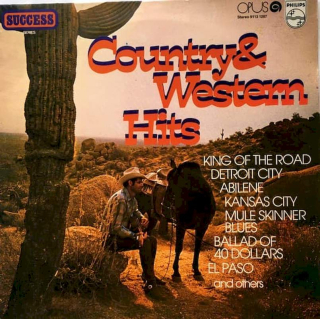 Various - Country & Western Hits - LP / Vinyl