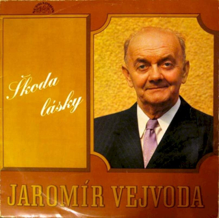 Jaromír Vejvoda - Škoda Lásky - LP / Vinyl