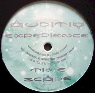 Auditiv Experience - Time Scape - LP / Vinyl