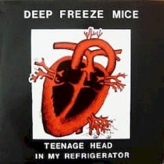 The Deep Freeze Mice - Teenage Head In My Refrigerator - LP / Vinyl