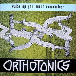 Orthotonics - Wake Up You Must Remember - LP / Vinyl