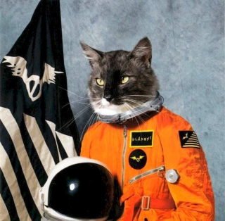 Klaxons - Surfing The Void - CD
