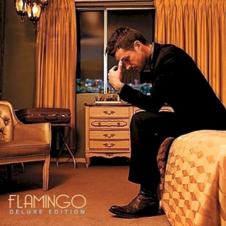 Brandon Flowers - Flamingo - CD