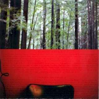 The Velvet Teen - Elysium - CD