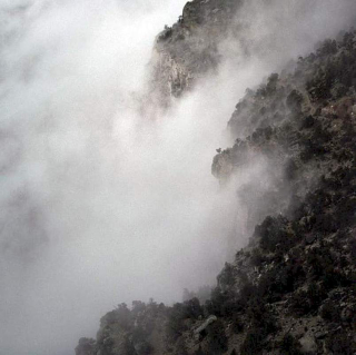 Like Rats - Like Rats - CD