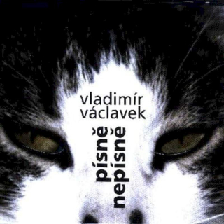 Vladimír Václavek - Písně Nepísně - CD