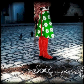 S.O.I.L. - In Fields - CD