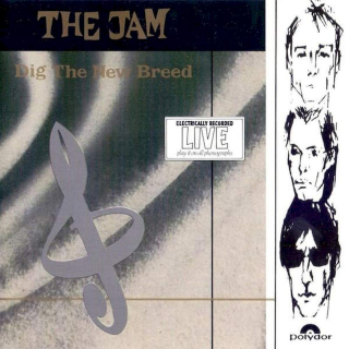 The Jam - Dig The New Breed - CD