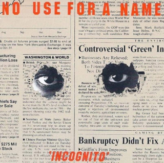 No Use For A Name - Incognito - CD