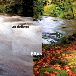Bran - An Delienn - CD