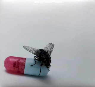 Red Hot Chili Peppers - I'm With You - CD