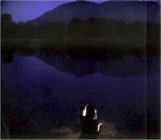 Tiny Vipers - Hands Across The Void - CD