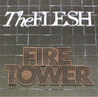 The Flesh - Firetower - CD