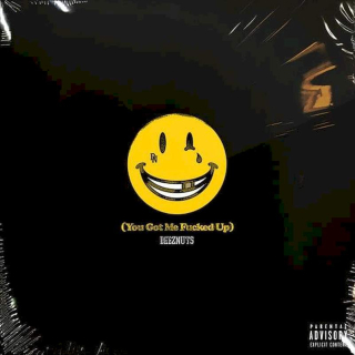 Deez Nuts - You Got Me Fucked Up - CD